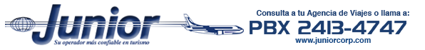 logo junior corp